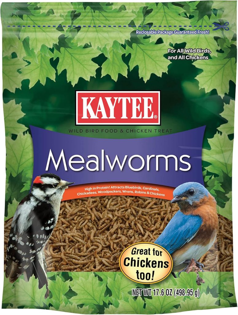 Kaytee - Mealworms
