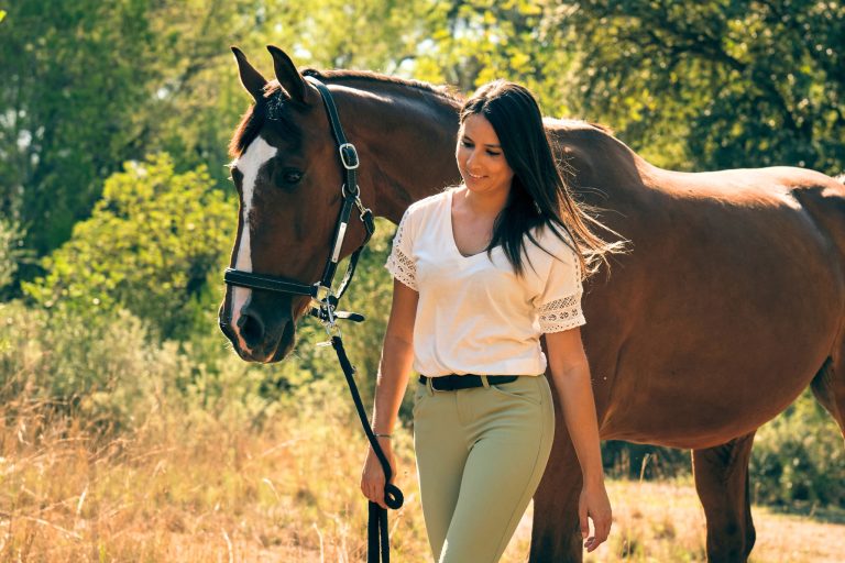 How to Calm a Spooky Horse: Training Tips That Actually Work