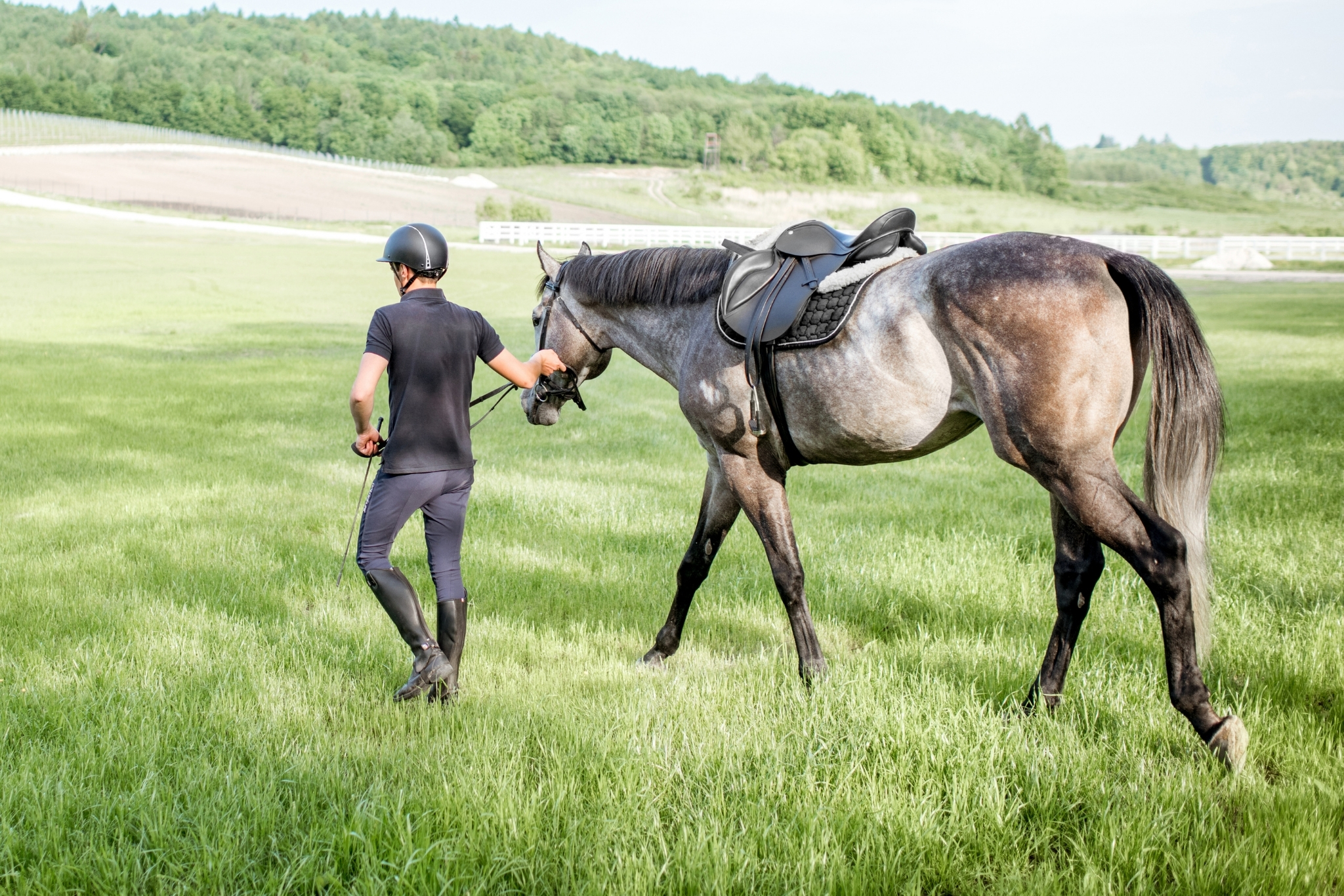 Separation Anxiety in Horses: Causes, Signs, and How to Help Your Horse Cope