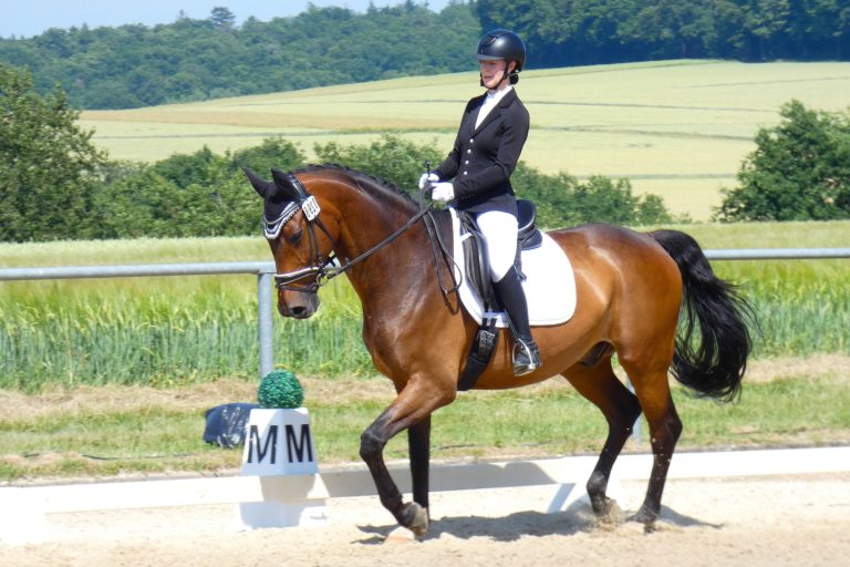How to Become a Horse Trainer—and Actually Make a Living Doing It