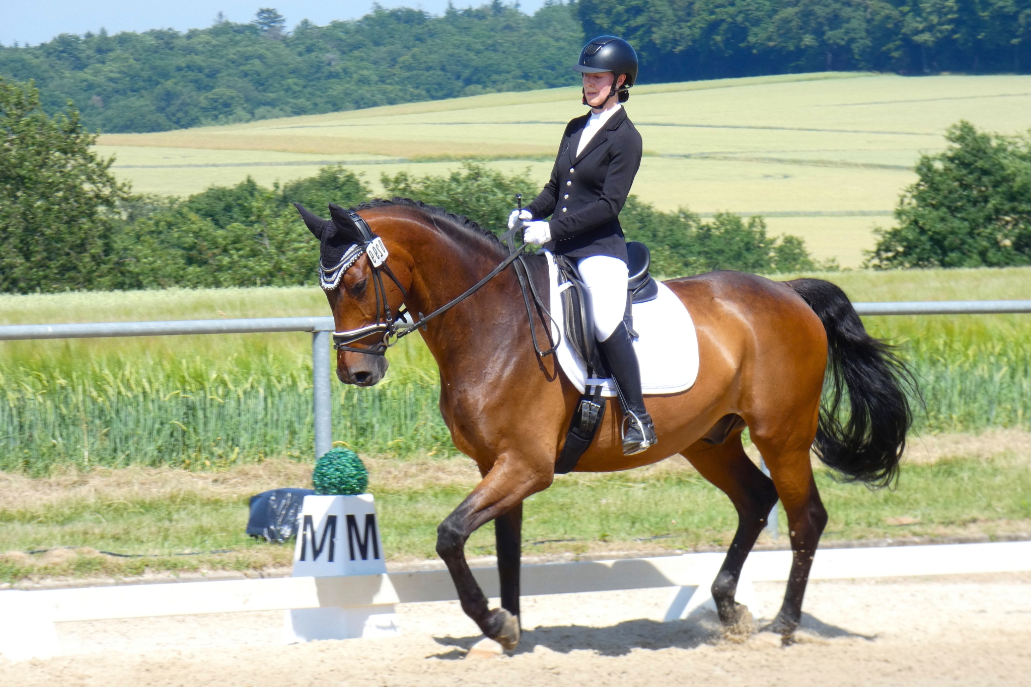 How to Become a Horse Trainer—and Actually Make a Living Doing It
