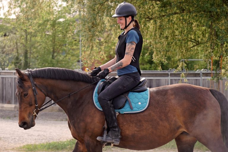 Is an Equine Science Degree Worth It? What No One Tells You