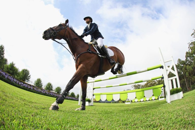 So You Want to Ride in the Olympics—Here's What That Actually Requires