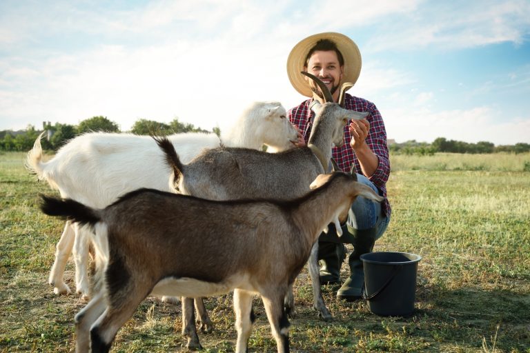 No Land, No Money, No Problem? What USDA Farm Loans Can Do